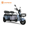 Triciclo de ocio eléctrico n8