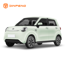 Coche eléctrico de baja velocidad RG-R