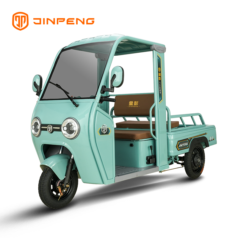 Triciclo de carga eléctrico P9