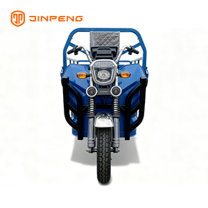 Triciclo de carga eléctrico JG160