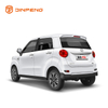 Coche eléctrico de baja velocidad RG